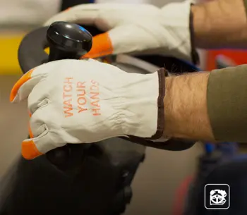 driver-gloves-612200-1727350404