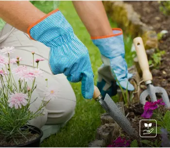gardening-gloves-756410-1727350638